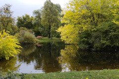 DSC_8965_IMG_20231028_114817_HD