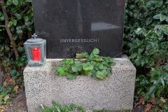 PXL_20251031_143945424hd