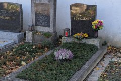 PXL_20251104_132105025HD