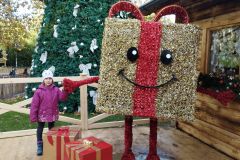 IMG_20231115_143308_HD