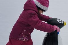 IMG_20231228_133729hd