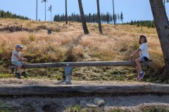 PXL_20250813_113736004_HD