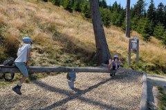 PXL_20250813_113747686_HD