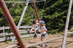 PXL_20250813_115042789_HD