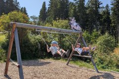 PXL_20250813_120739433_HD