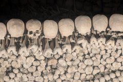 PXL_20250803_101423582.NIGHT_HD