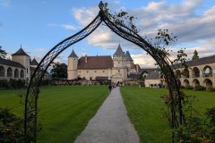 PXL_20250803_172547826_HD