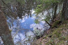 PXL_20260901_122831458_HD