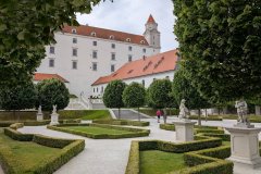 PXL_20250704_110729982_HD