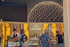 PXL_20250704_123255995_HD