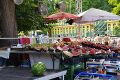 IMG_20230723_145939_HD