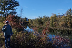 DSC_9037_IMG_20231101_131811_HD