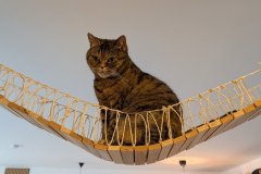 Die Brücke hängt schon ziemlich durch