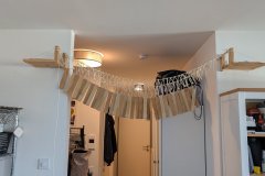 Abbau der Brücke