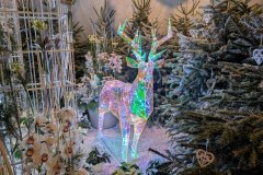 Adventmarkt Hirschstetten