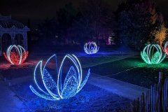 Adventmarkt Hirschstetten