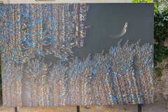 PXL_20250619_120807438_HD