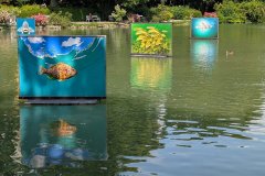 PXL_20250619_125843423_HD