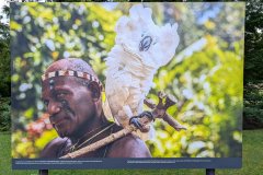 PXL_20250619_130346556_HD