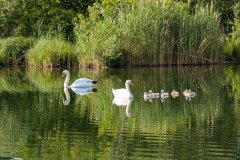 PXL_20250530_152519295_HD