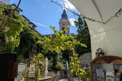 PXL_20250731_145858261_HD