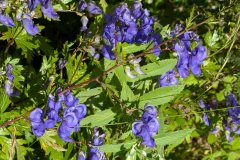 PXL_20250828_121029265_HD