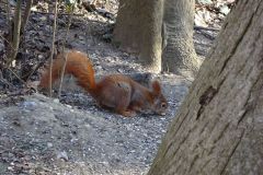 DSC09624_HD
