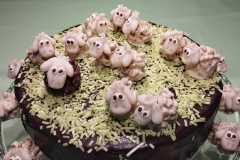 WhatsApp-Image-2023-04-09-at-10.44.40