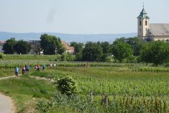 Oggauer Weinberge