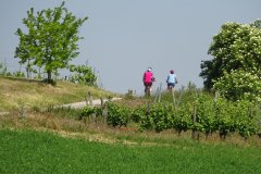 Weiter durchs Land