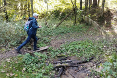 DSC09535_IMG_20231007_113304_HD