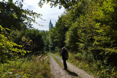 DSC09535_IMG_20231007_113905_HD