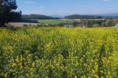 DSC09552_IMG_20231007_140924_HD