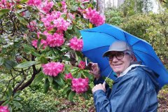 Inverewe Garden