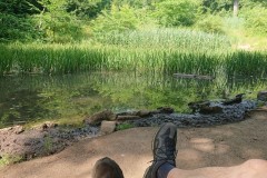 Jubiläumswarteteich