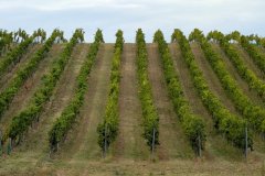 PXL_20250831_125711554_HD