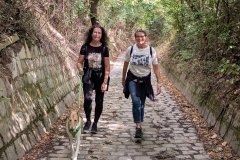 PXL_20250831_132200051_HD