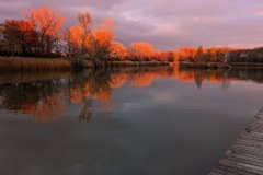 PXL_20251110_150448501_hd