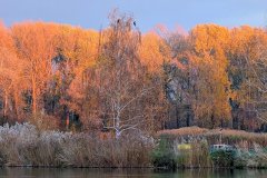 PXL_20251110_150537219kd