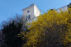 DSC08833_IMG_20230322_154628_HD