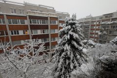 PXL_20260220_060548715_HD