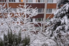 PXL_20260220_060558413_HD