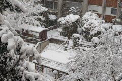 PXL_20260220_060608457_HD