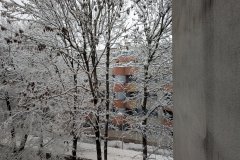 PXL_20260220_060738021_HD