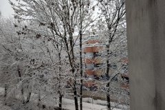 PXL_20260220_060741495_HD