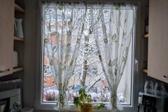 PXL_20260220_065323365_HD