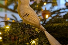 PXL_20241224_130409117.MP_HD