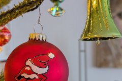 PXL_20241225_103045780.MP_HD