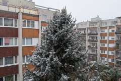 PXL_20251224_093649006_HD