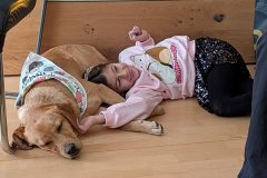 WhatsApp-Image-2025-12-26-at-11.04.06_HD